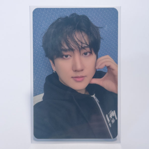Strawberry Inner Sleeves